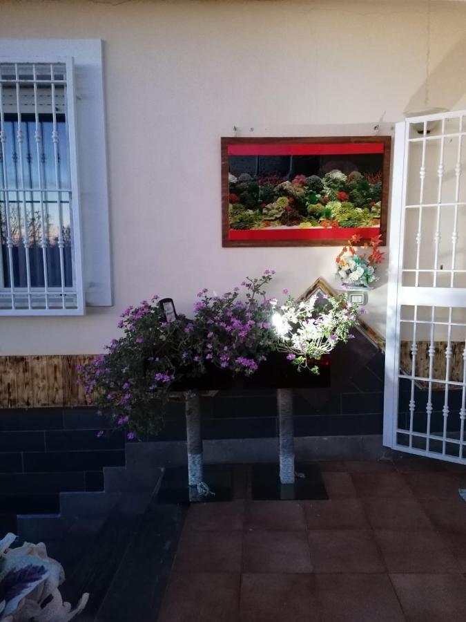 Appartamento Casa Bellavista Agropoli Esterno foto